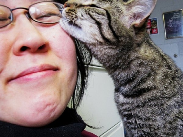 Nem így imádom az állatokat.