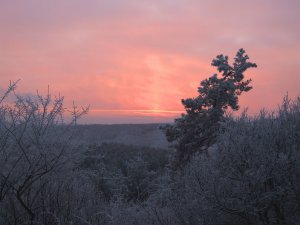 A téli táj egy pollenallergiás részére ezerszer szebb, mint a nyári.