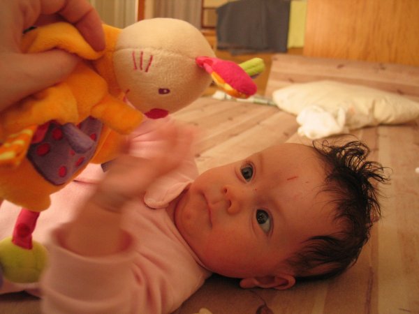 Hiába próbáltam elterelni a figyelmét, gyakran sebesre vakarta magát.