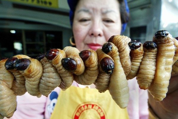 Túl rágós, és nehéz lenyelni.