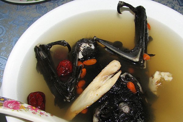 20130324-ez-zsir-a-vilag-leggusztustalanabb-etelei5