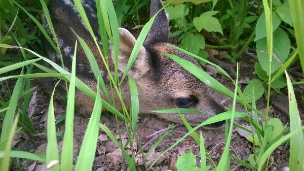 10256843_676754872400343_3426641024395016683_o