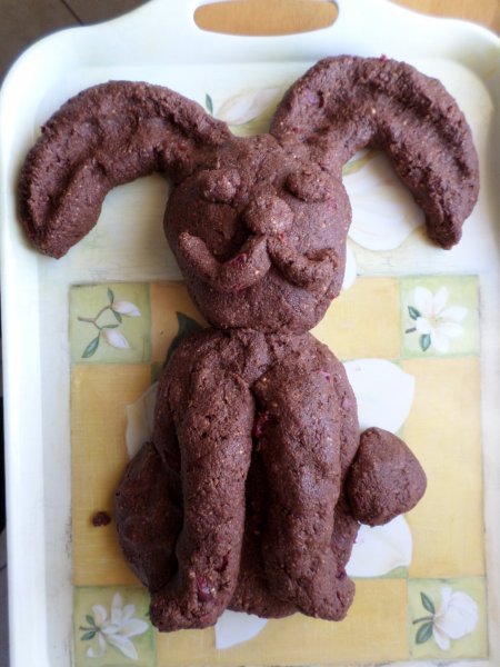 A meztelen nyuszi. Fotó: Lin