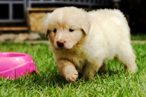 Miért más? A különbség csak kulturális.  Fotó: Freeimages