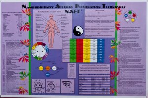 Holistic_Care_1080p_DEJ-8440