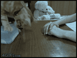 GIF a Boredpandáról