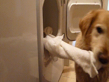 GIF: Boredpanda