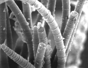 tumblr_ltltvkdYxh1qml9l0