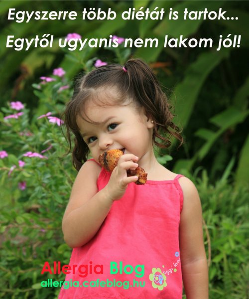 A kislányomnak persze egyszerre több diétát is kell tartania. És fontos, hogy jól is lakjon! Fotó: Freeimages