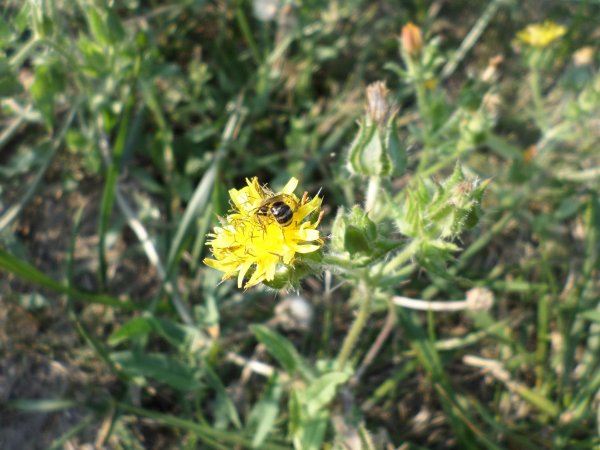 Már-már szép. Fotó: Lin