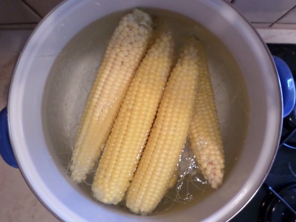 Fővés közben, bő vízben. Fotó: Lin