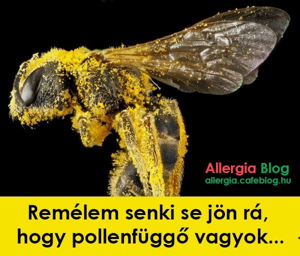 Valaki jól bírja a polleneket, na...
