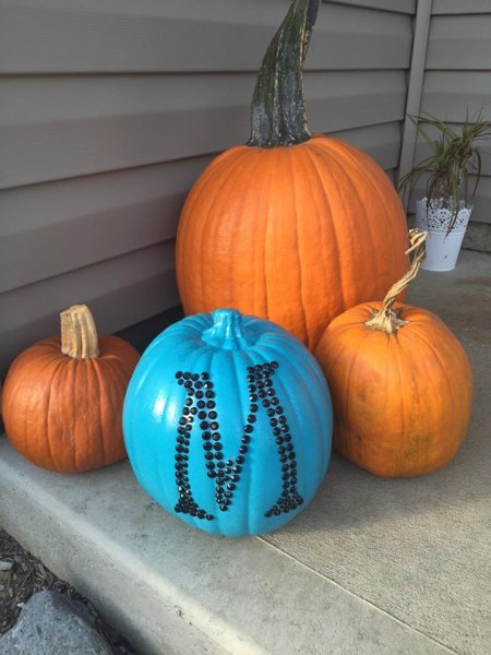 Fotó: Facebook #TealPumpkinProject