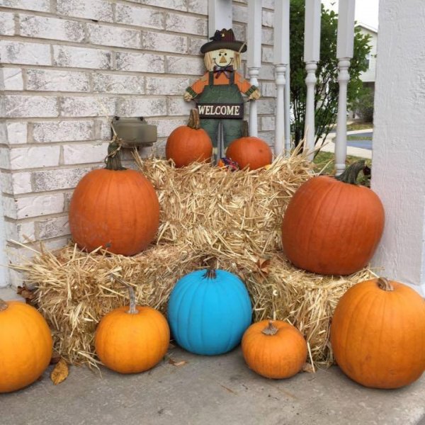 Fotó: Facebook #TealPumpkinProject