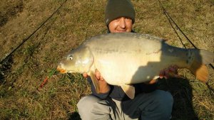 11223894_1496663043968346_729023845625592964_n